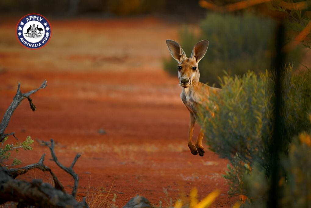 Best Australia Itinerary