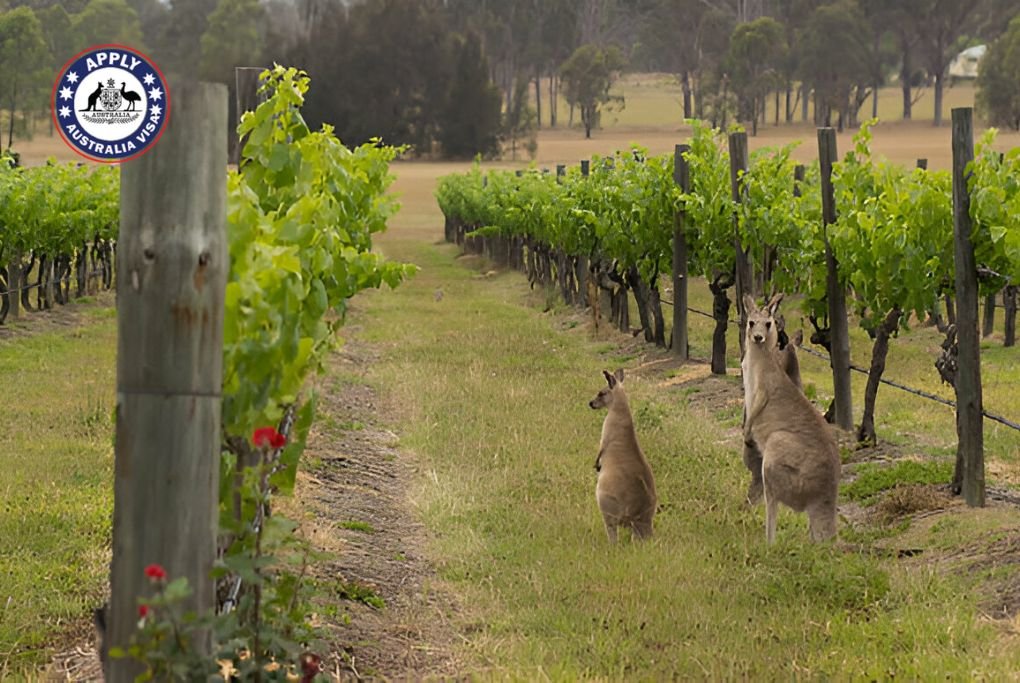 Hunter Valley